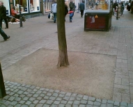 U:\Dolomitsplitt an Bäumen1.jpg